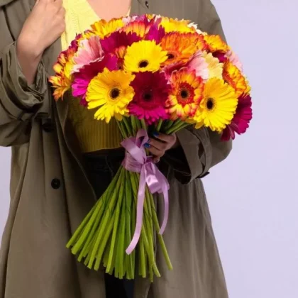 51 gerberas