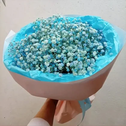 Стефани