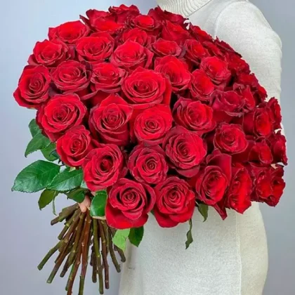 51 red roses