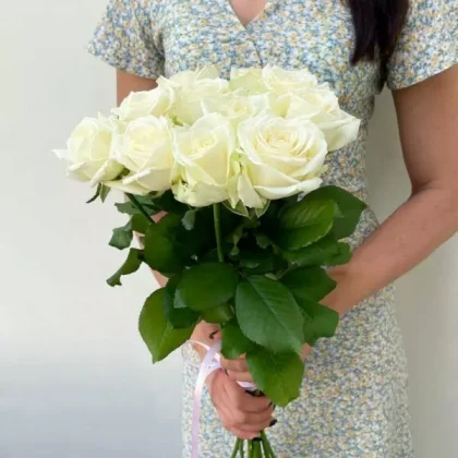 11 white roses