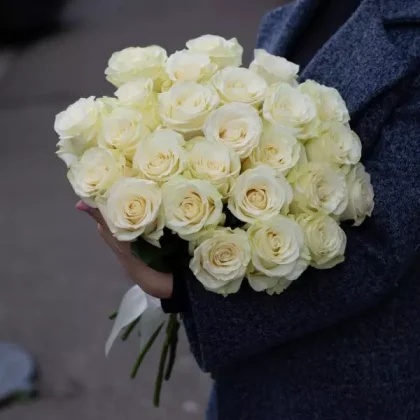 25 белых роз