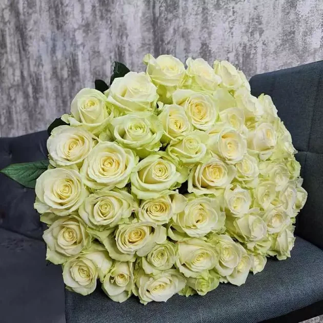 51 white roses