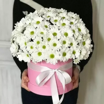 Алехандра