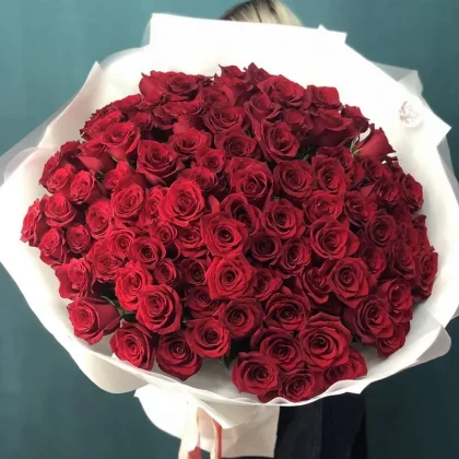 101 red roses