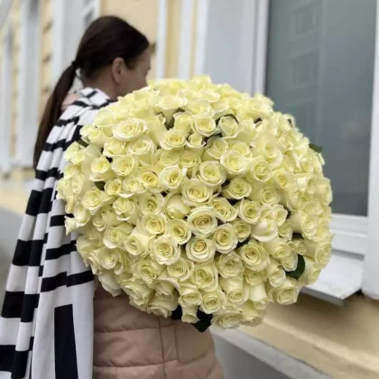 151 белая роза 70 см.