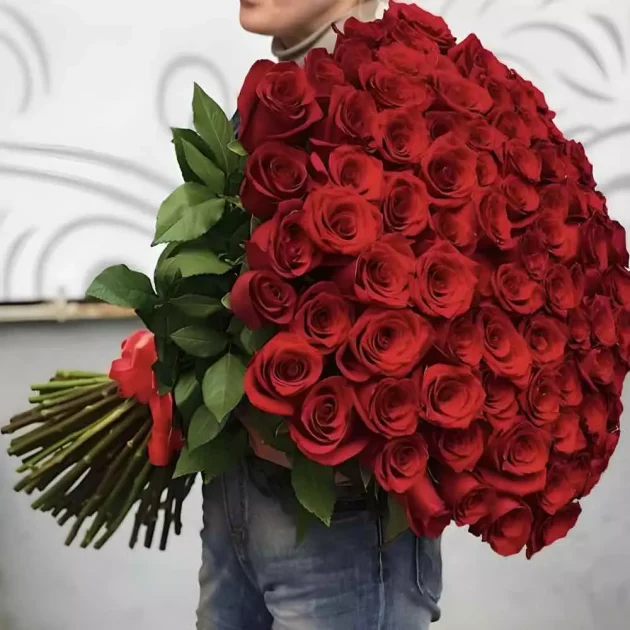 151 red roses 70 cm