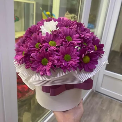 Пенелопа