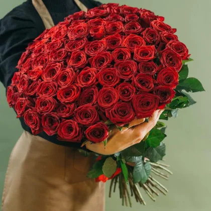 75 red roses 70cm