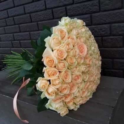 101 cream roses