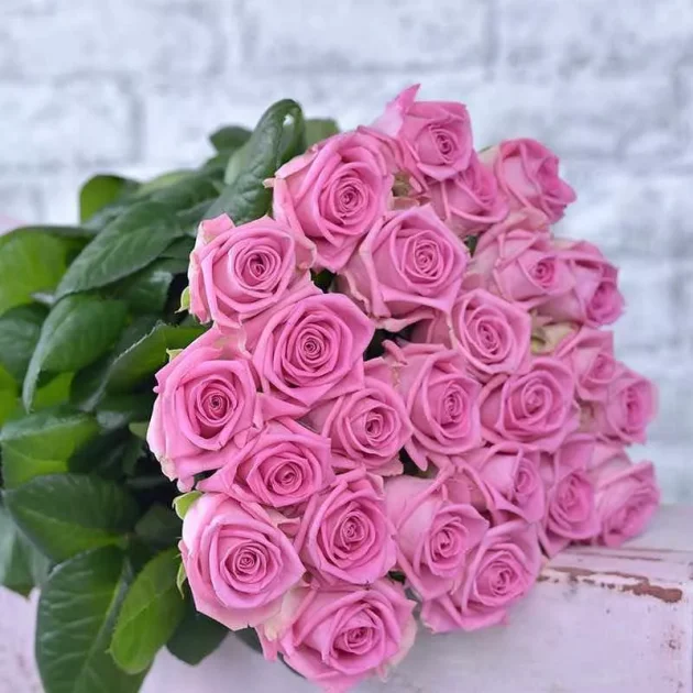 21 pink roses