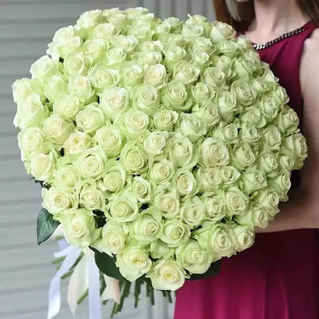 101 white roses