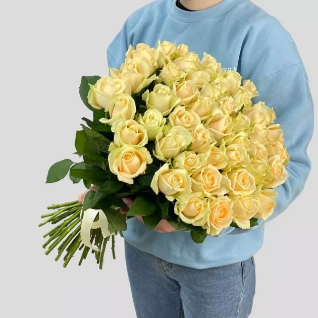 51 cream rose