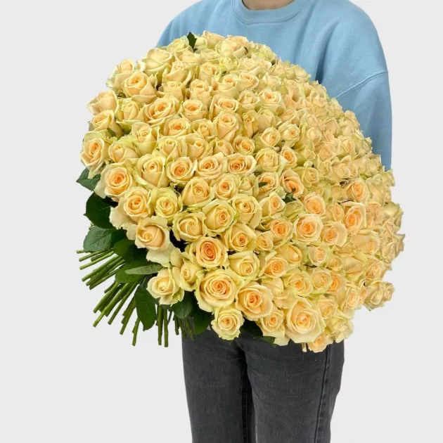 151 cream roses